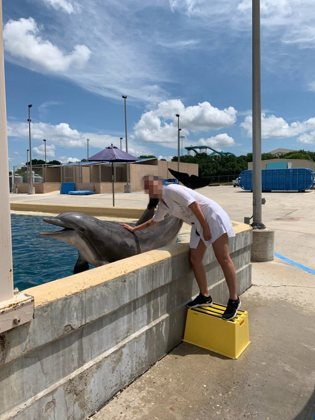 visitor_touching_a_dolphin_at_venue