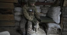 Ukrainian serviceman pats a dog sitting in a shelter on the front line in the Luhansk region, eastern Ukraine.