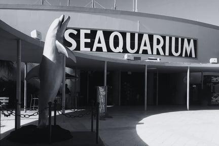 Se muestra la entrada al Miami Seaquarium. Imagen de: Emily Huggins⁣
