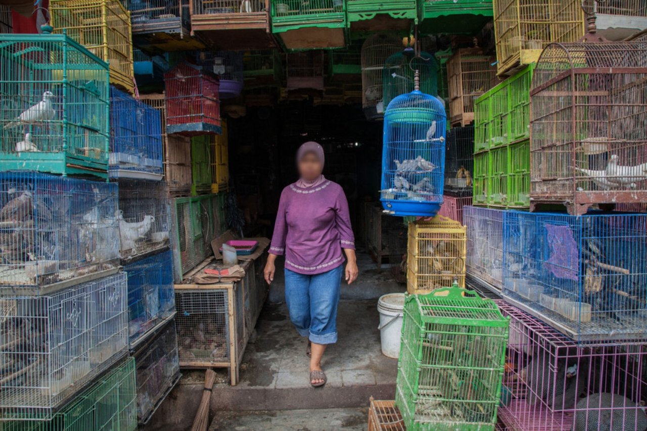 A woman walks through caged birds for sale at the Denpasar Bird Market in Bali, Indonesia
