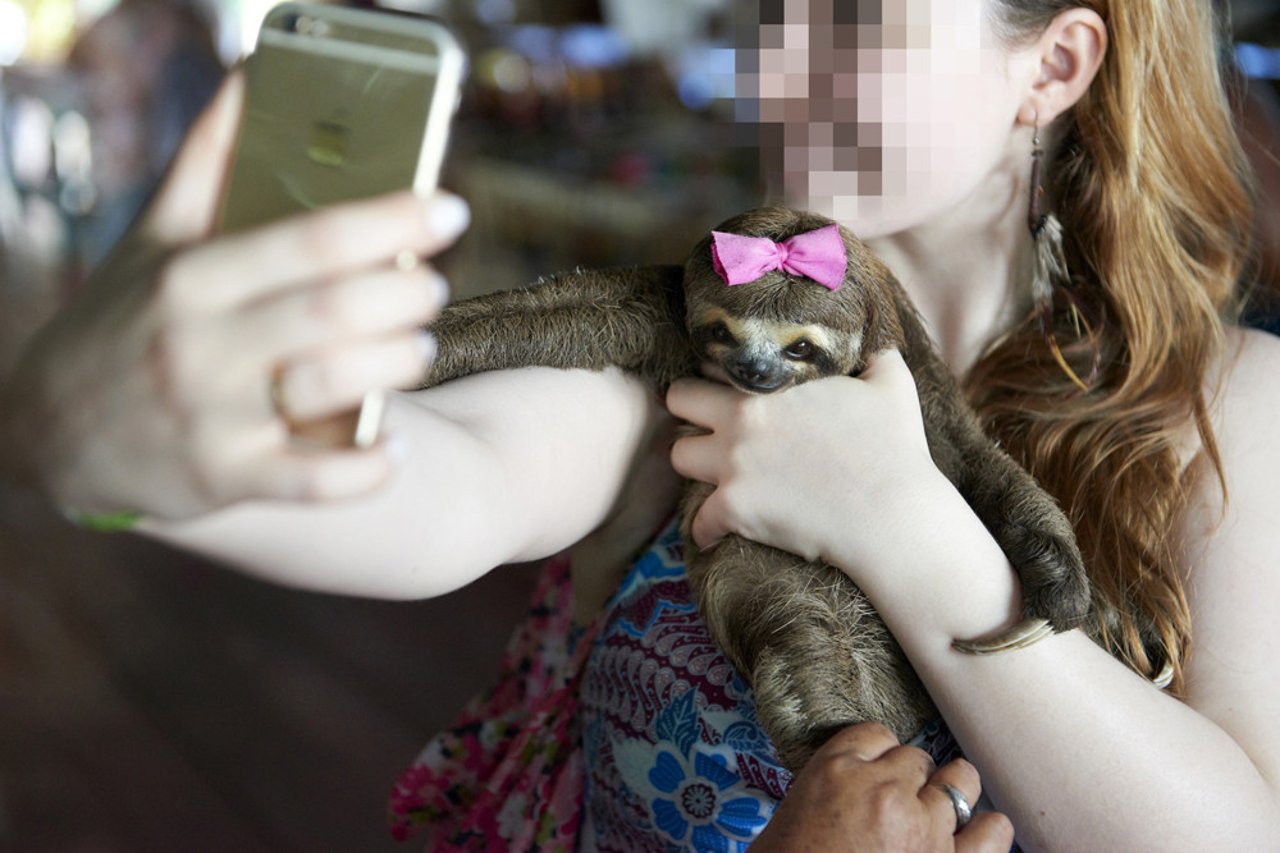 Mulher tira selfie segurando um filhote de preguiça - Proteção Animal Mundial - Silvestres. Não entretenimento.