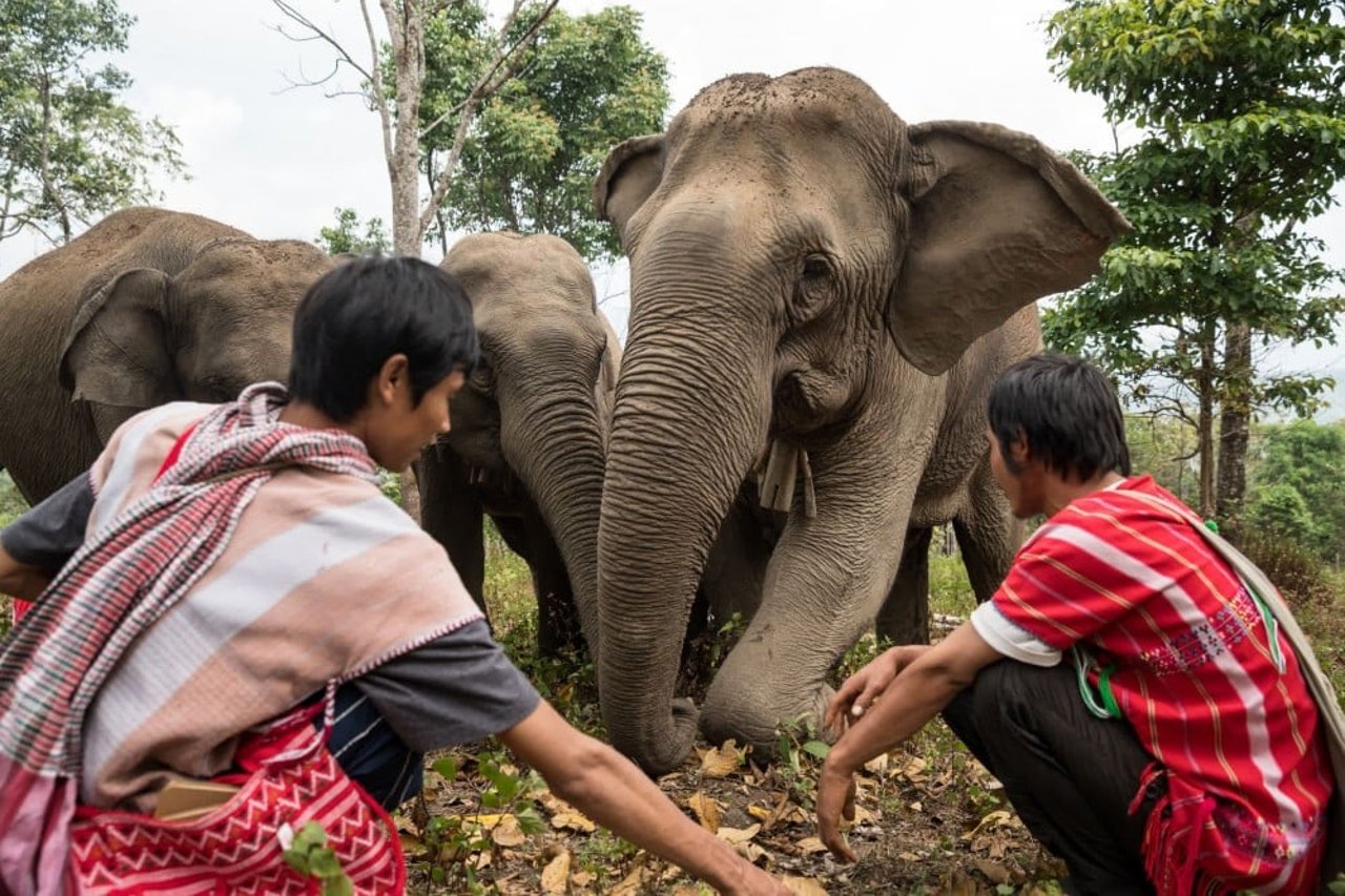 Mahouts ao lado de dois elefantes na Tailândia
