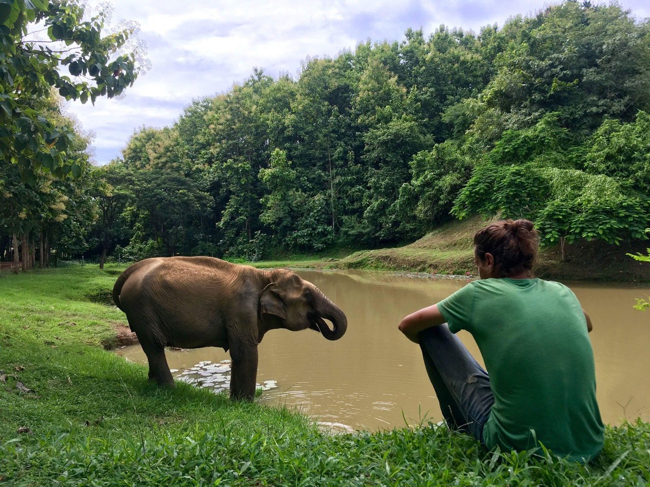 un turista admira elefante en santuario en Tailandia