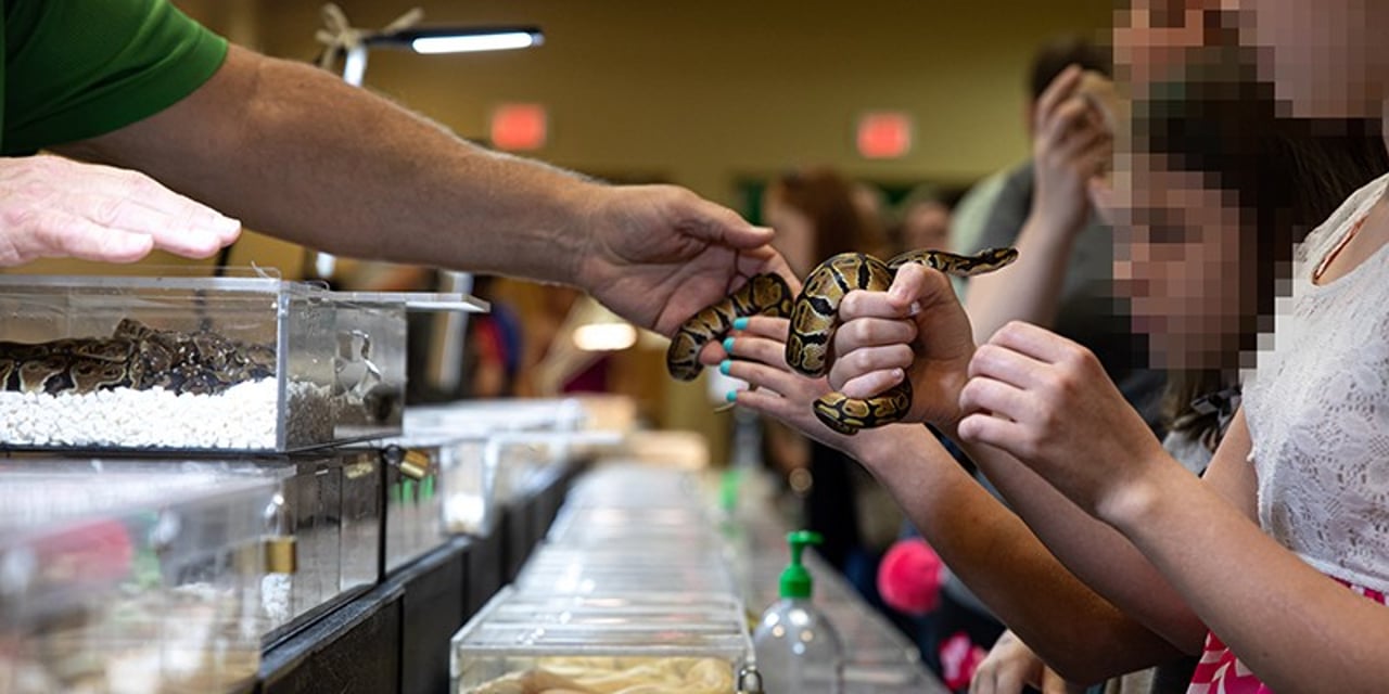 A group of children crowded around a table at an expo. A seller hands a small snake to a young girl, while others look at the snakes inside plastic boxes on the table.