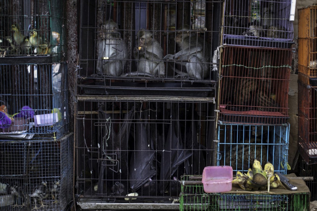 Wet market