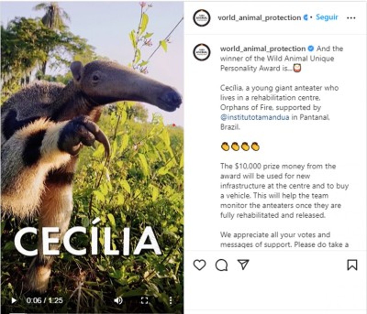 Cecília Wild Animal Unique Personality 2022 Winner