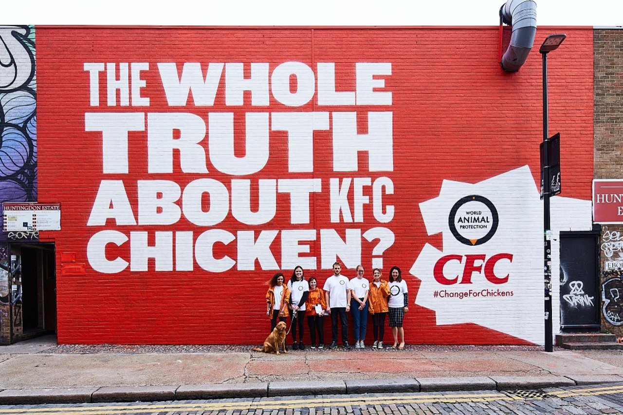 The whole truth about KFC Chickens