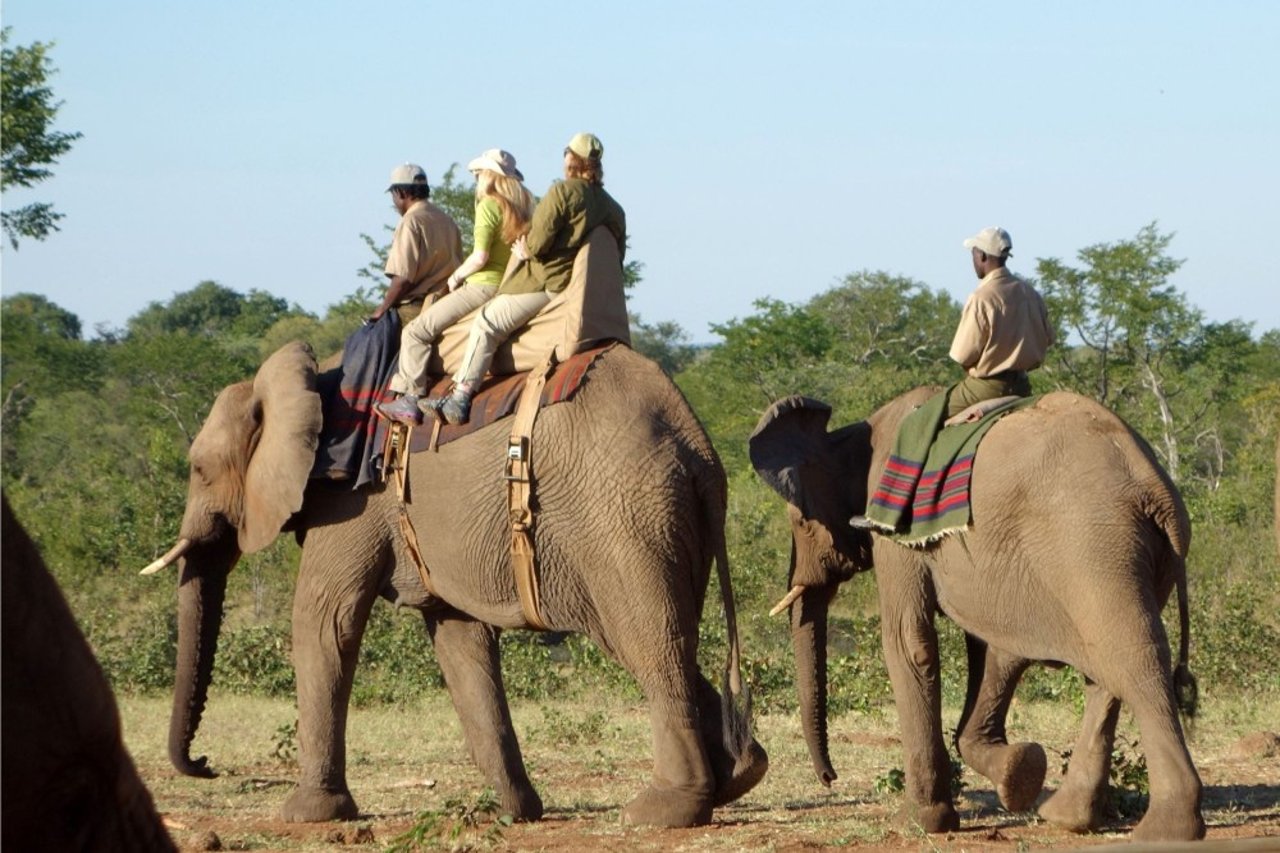 elephant_ride_in_southern_africa