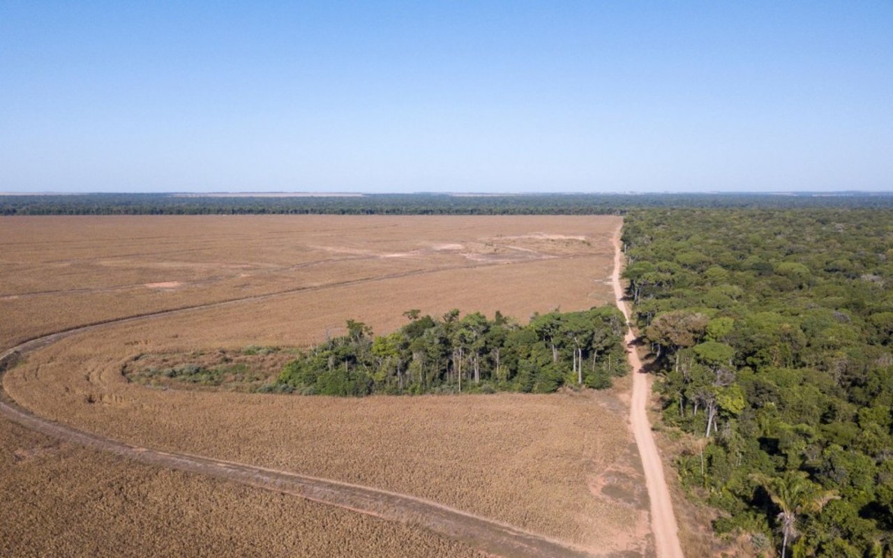 Vista aérea de cultivos y áreas deforestadas en las fincas de Tangará da Serra, Mato Grosso, Brasil