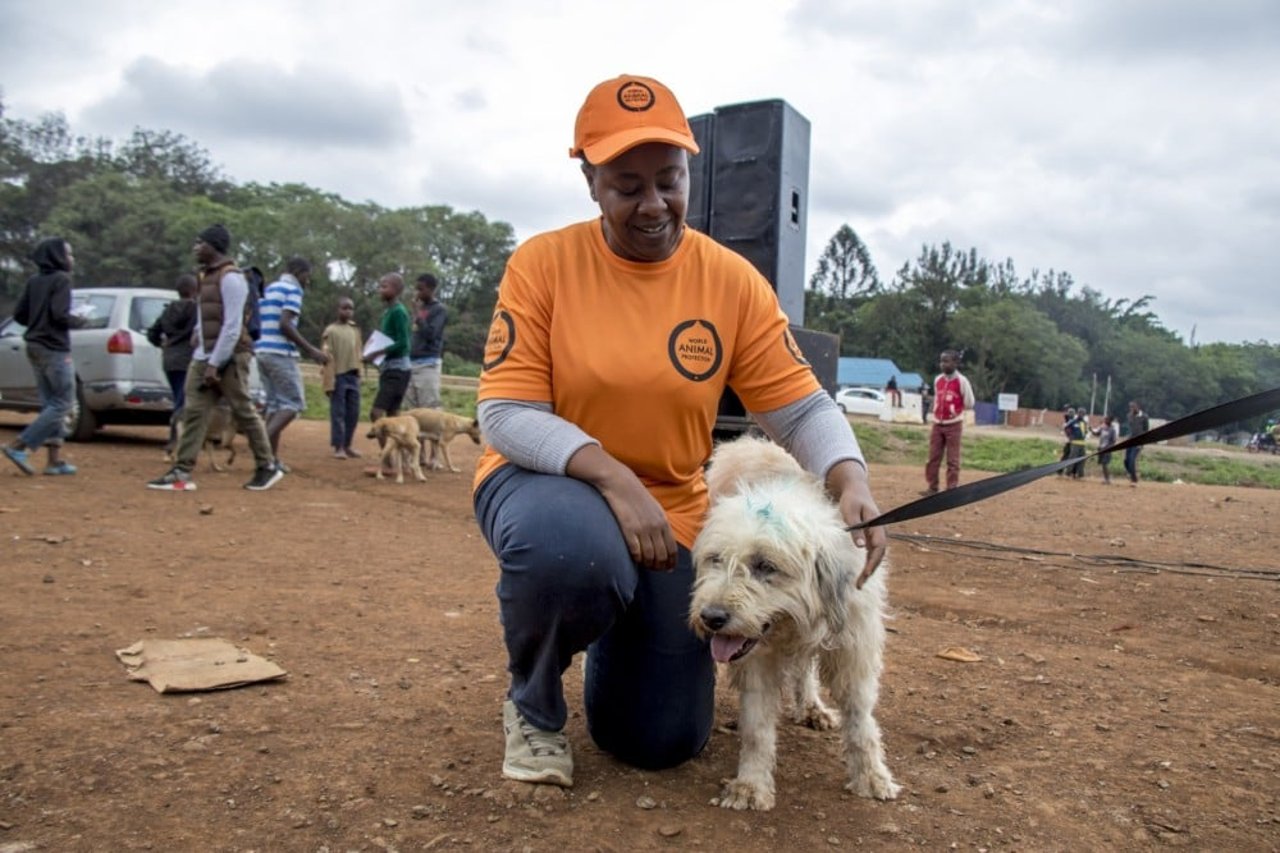 Our campaign manager Dr. Emily Mudoga with a dog at a rabies vaccination drive - World Animal Protection - Better Lives For Dogs