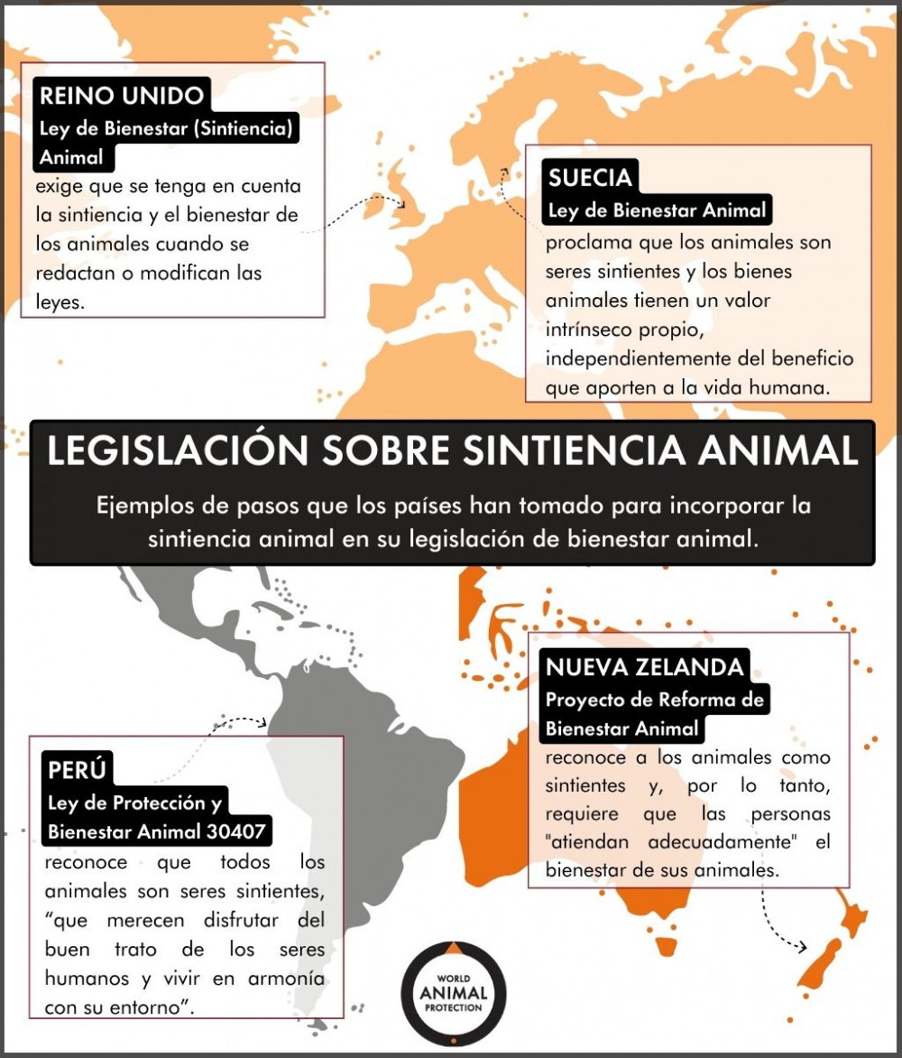 El resumen de la información de este artículo sobre la legislación internacional de la sintiencia animal mostrada en un mapa