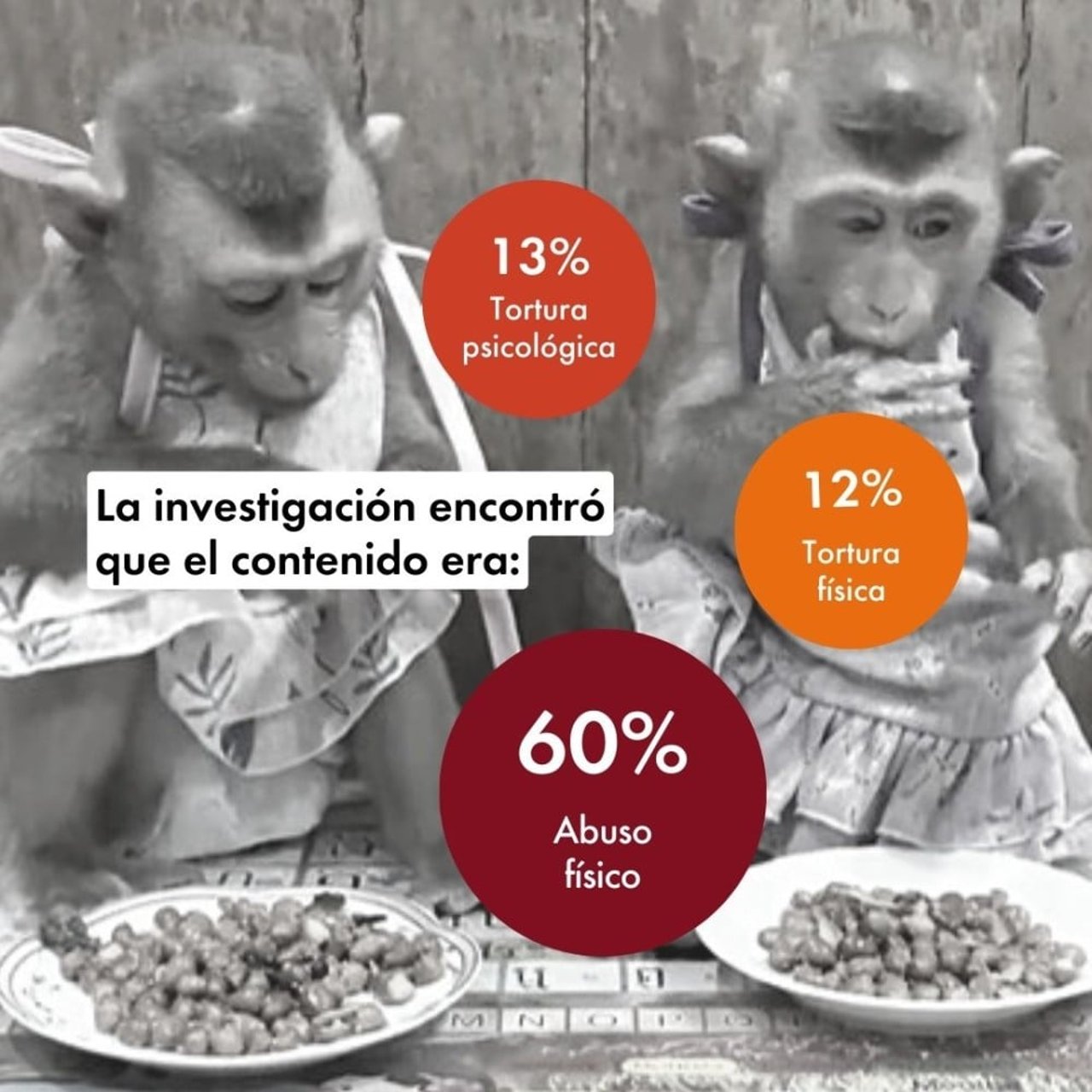 Gráfico sobre la clasificación del contenido con crueldad hacia los macacos en redes sociales