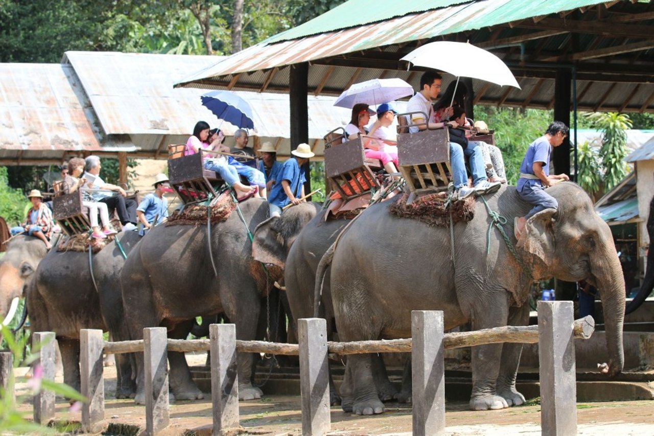 tourists_riding_elephants_in_thailand