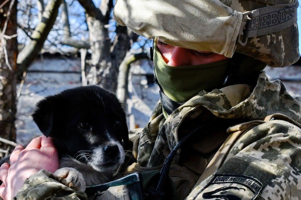 Ukrainian soldier holds a puppy on the frontline