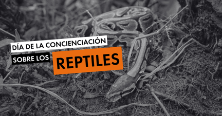Día de Concientización sobre los Reptiles