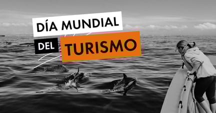 Una turista observa cetáceos a una distancia responsable y segura.