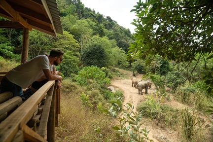 Un turista observa un elefante desde una plataforma de observación en el santuario Following Giants en Tailandia.