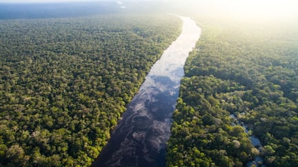 Vista área del río Amazonas y la selva en Brasil