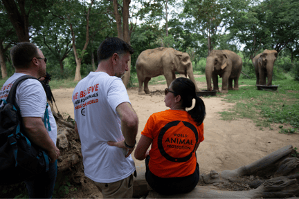 Personal de World Animal Protection en un santuario de elefantes en Tailandia.