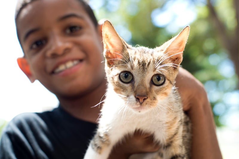 Conozca el índice de bienestar animal en su país 