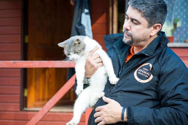 dia del veterinario