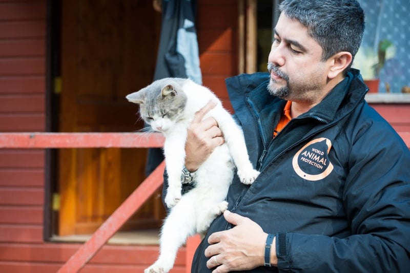 dia del veterinario 