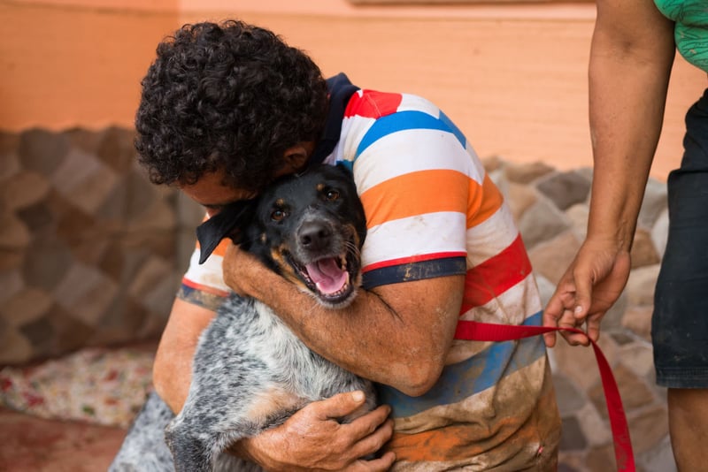 Perro y dueño afectas por el Huracán Otto en Costa Rica