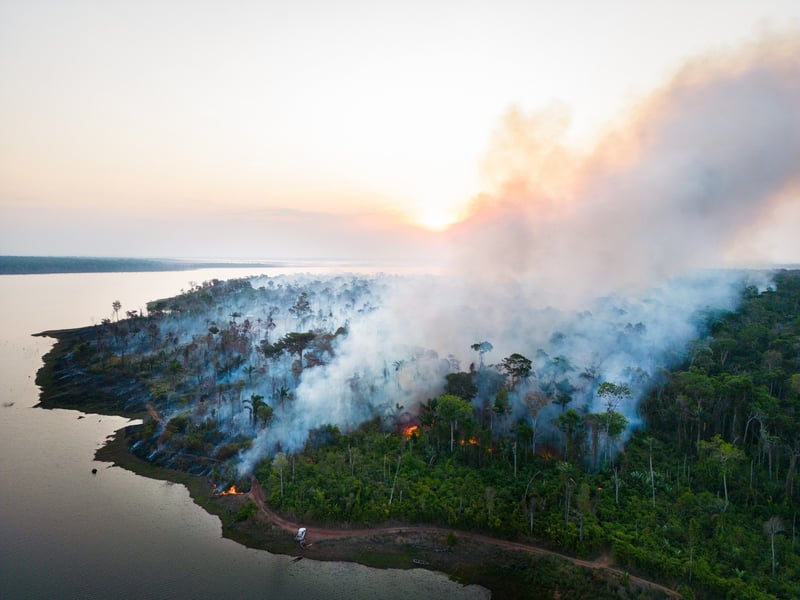 Incendios forestales en Brasil - COP27