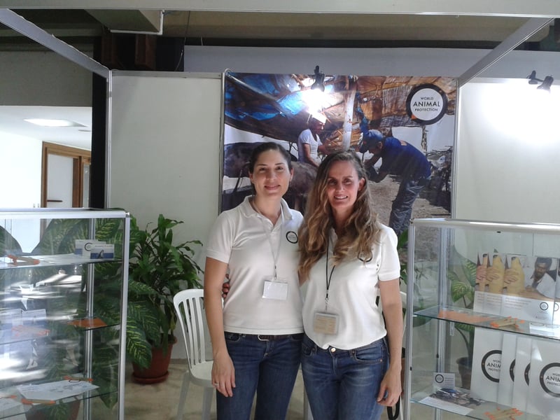 Protección Animal Mundial apoyó en gran escala al PANVET 2014 realizado en la Habana, Cuba
