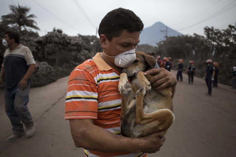 Un residente abraza a su perro después de rescatarlo cerca del Volcán de Fuego, en Escuintla, Guatemala, el lunes 4 de junio de 2018. Una ardiente erupción volcánica en el centro-sur de Guatemala envió lava a las comunidades rurales.(AP Photo/Luis Soto)