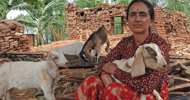 Mujer con cabra en la india 