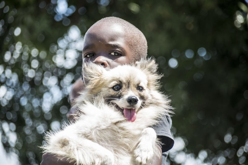 Dog at vaccination drive in Kenya - World Animal Protection - Better Lives For Dogs