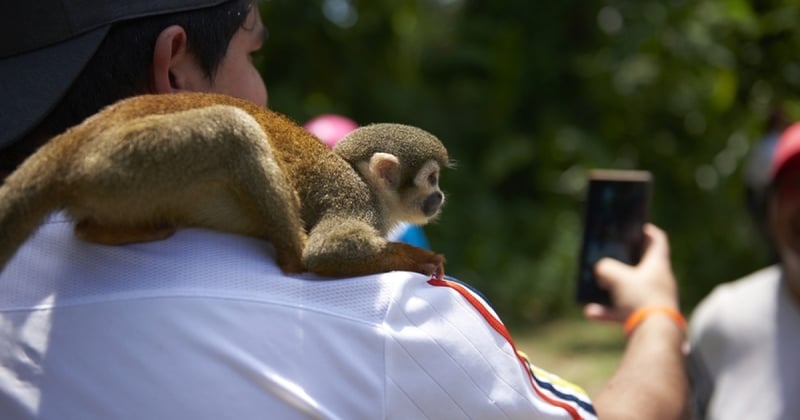 Un mono sobre el hombro de un turista que se toma una foto.