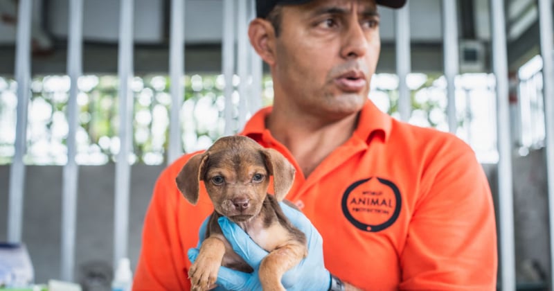 Sergio Vásquez holding a dog in the Parismina community of Limon, Costa Rica - Animals in disasters - World Animal Protection