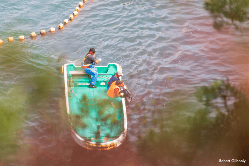 Un bote sobre las aguas rojas durante la matanza de delfines de Taiji.