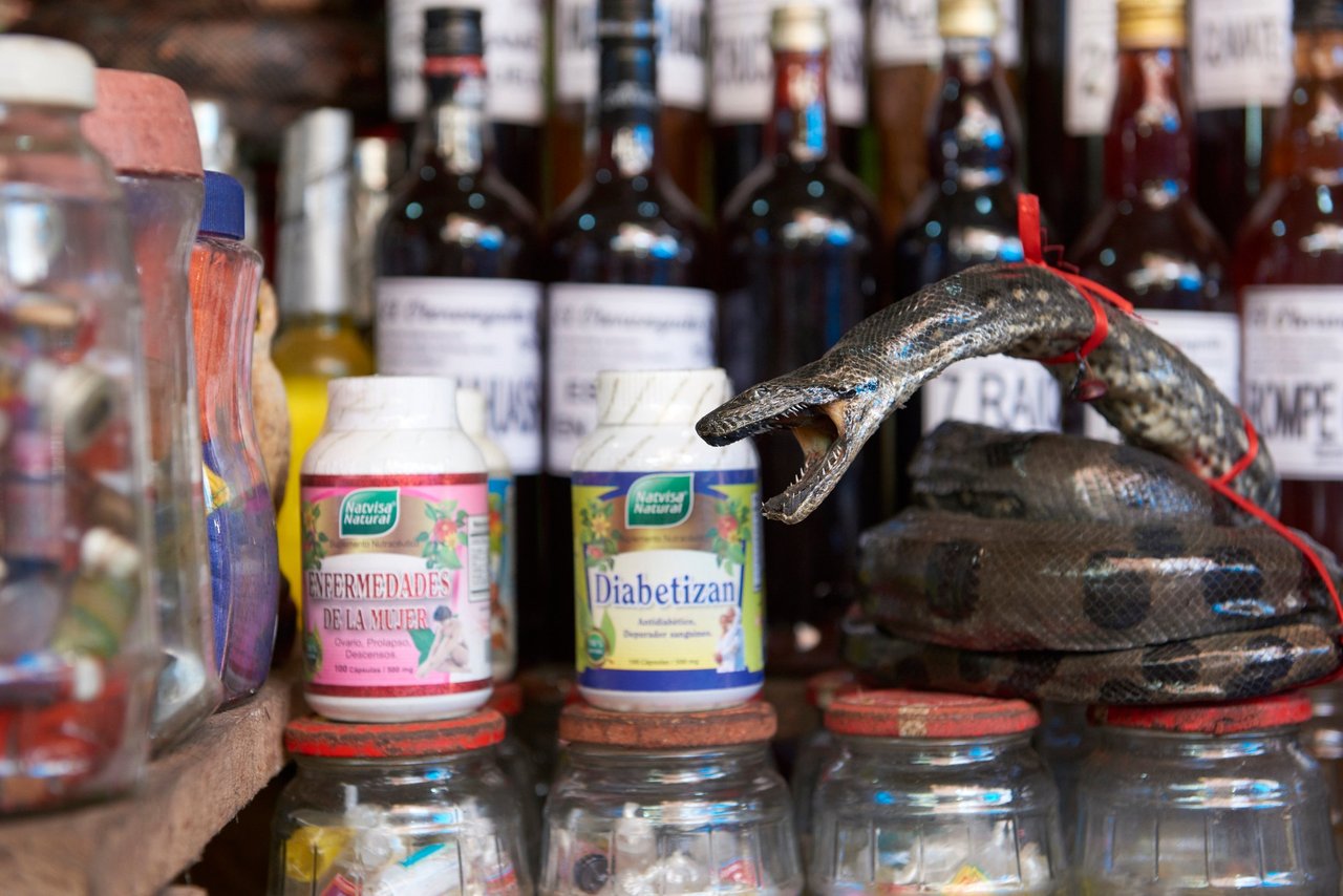 Anaconda juvenil a la venta en el mercado de Belén, Perú, para uso basado en creencias.