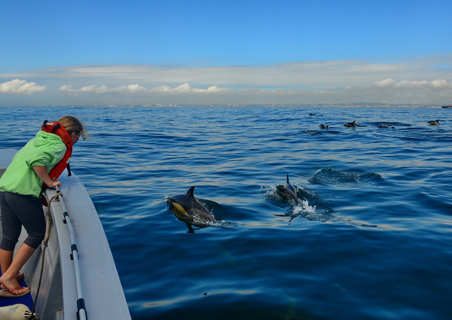 Una turista observa responsablemente a delfines y ballenas en Algoa Bay, Sudáfrica. Imagen de Raggy Charters