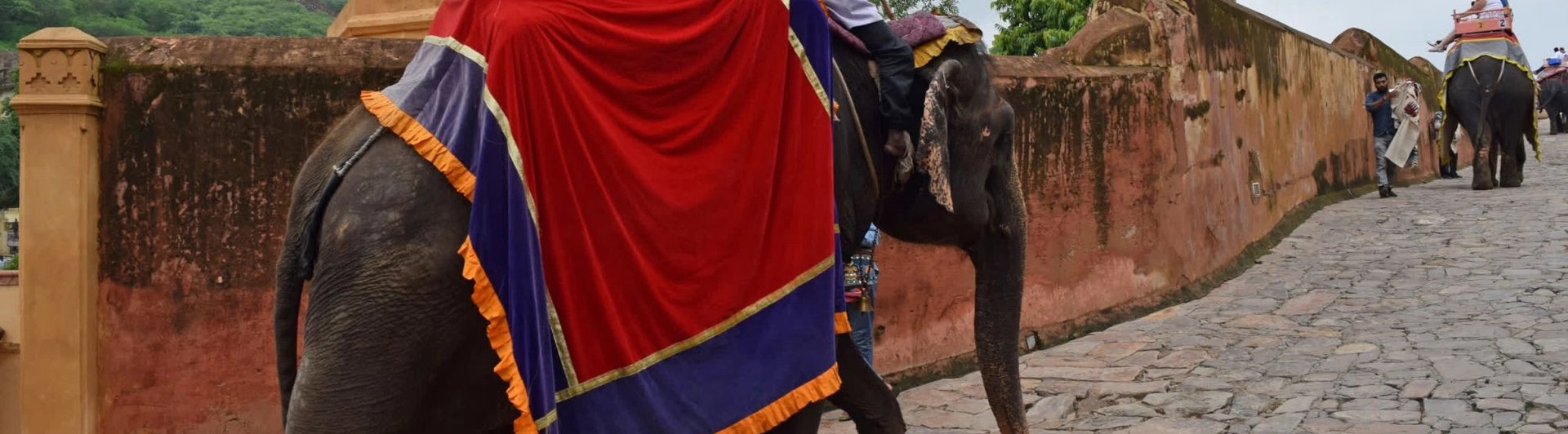 Elefantes cargando turistas sobre sus espaldas en Amer Fort, India.