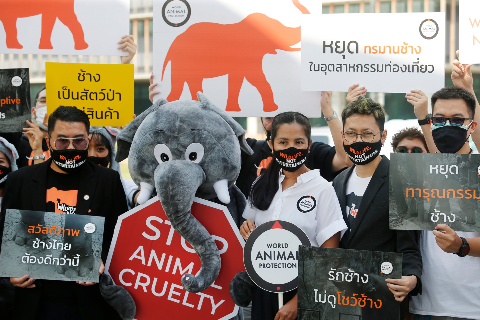 Protesta por mayor protección legal para los elefantes en Tailandia. World Animal Protection.