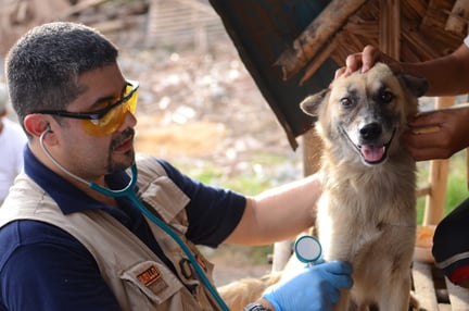 Equipo de manejo de desastres en acción