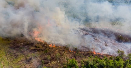 Visão aérea da Amazônia com pontos de fogo, causados pelo desmatamento