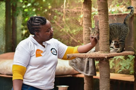 Emily Mudoga with a cat in Kenya - World Animal Protection