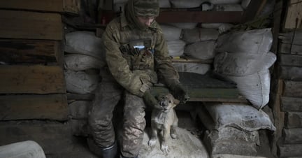 Ukrainian serviceman pats a dog sitting in a shelter on the front line in the Luhansk region, eastern Ukraine.