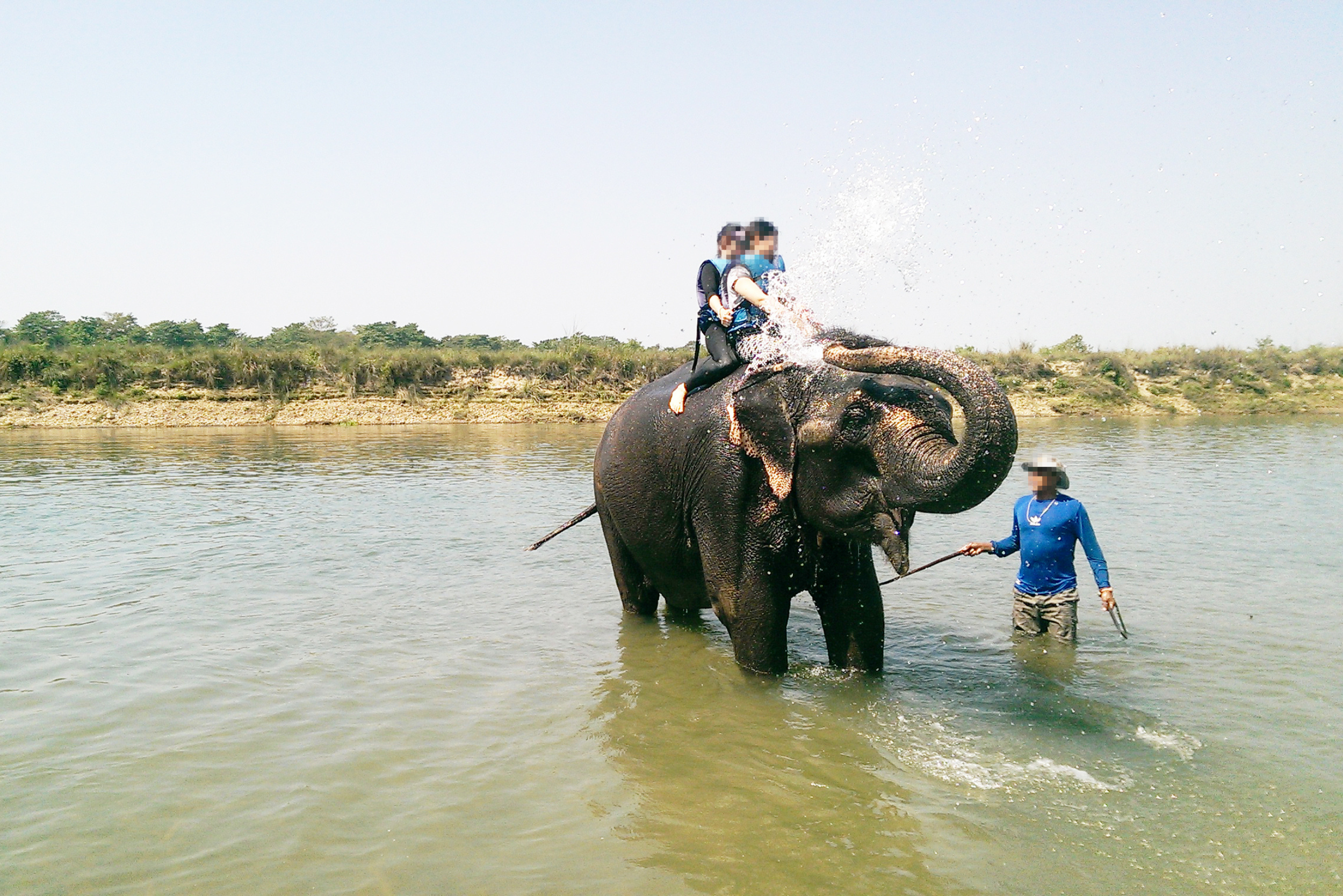 Turistas sobre el lomo de un elefante usado para baños