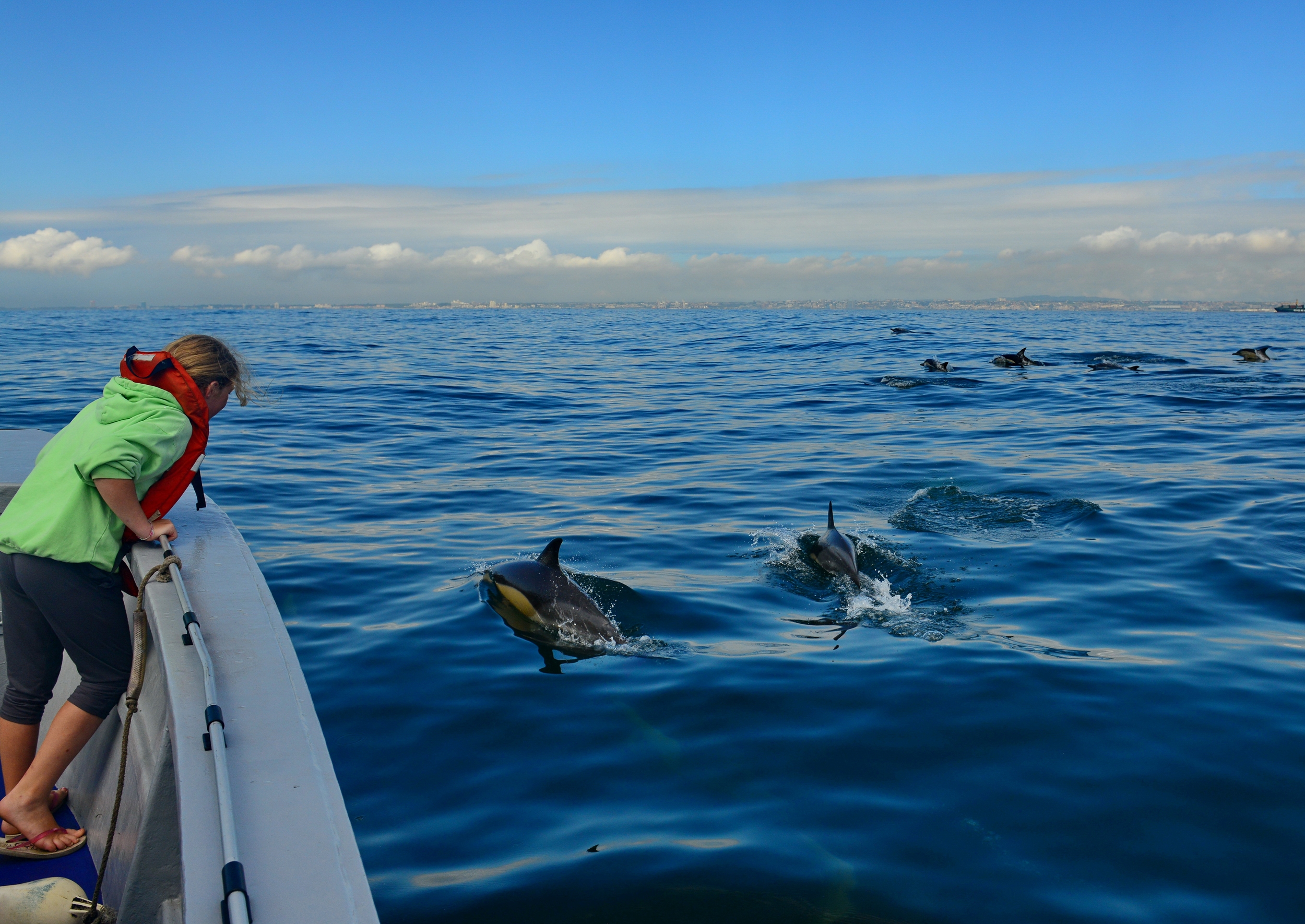 Una turista observa delfines desde un bote en Sudáfrica.