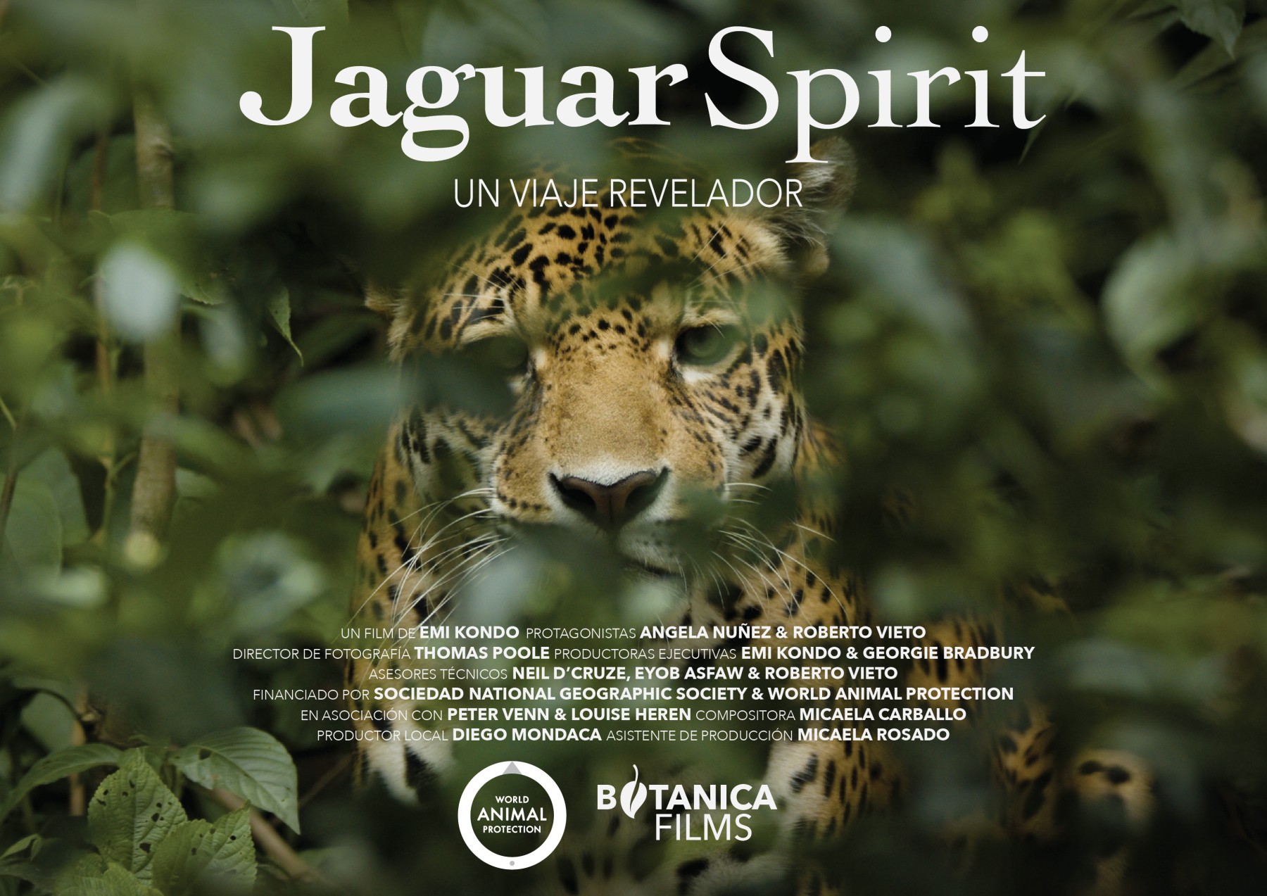 Jaguar Spirit es un documental que expone la caza ilegal de jaguares en Bolivia