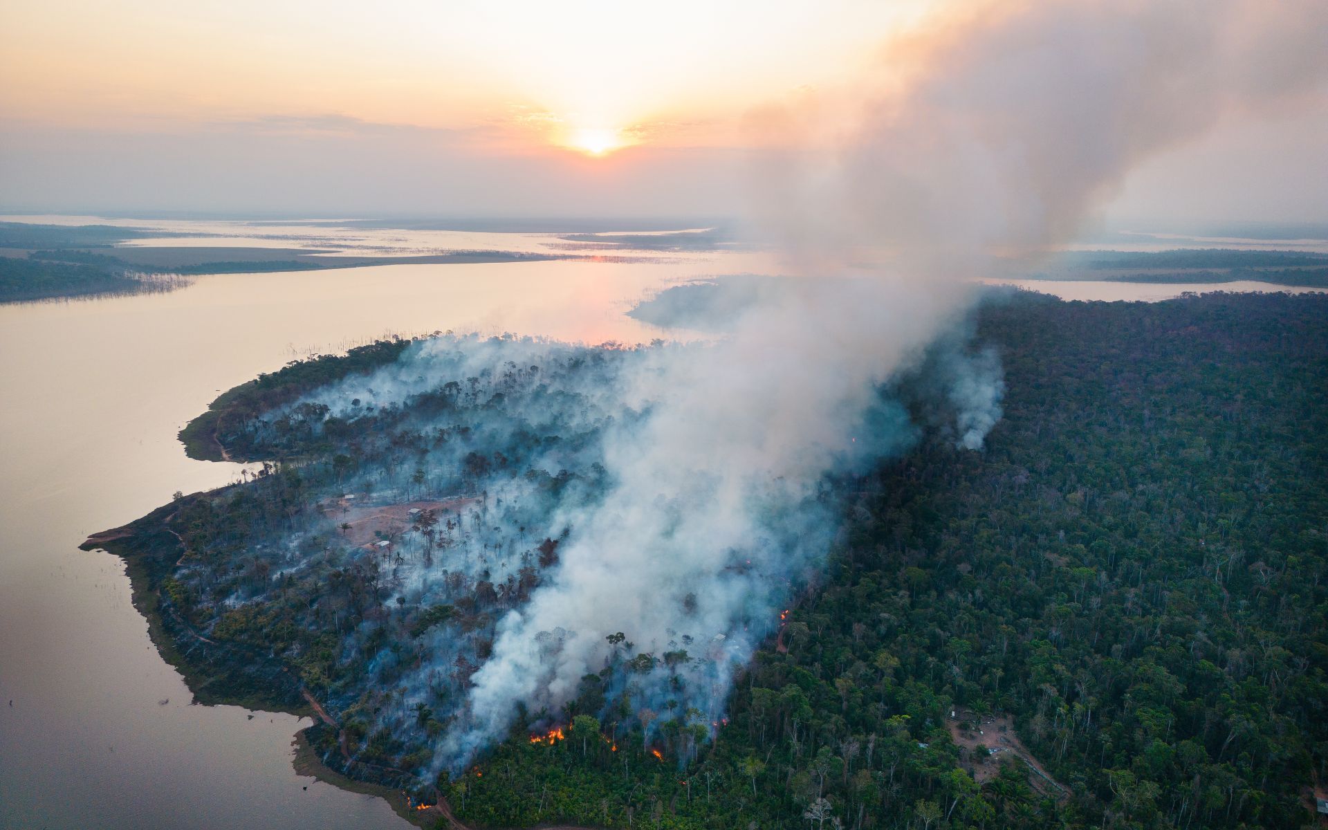 un incendio forestal consume una gran extensión de selva tropical. 